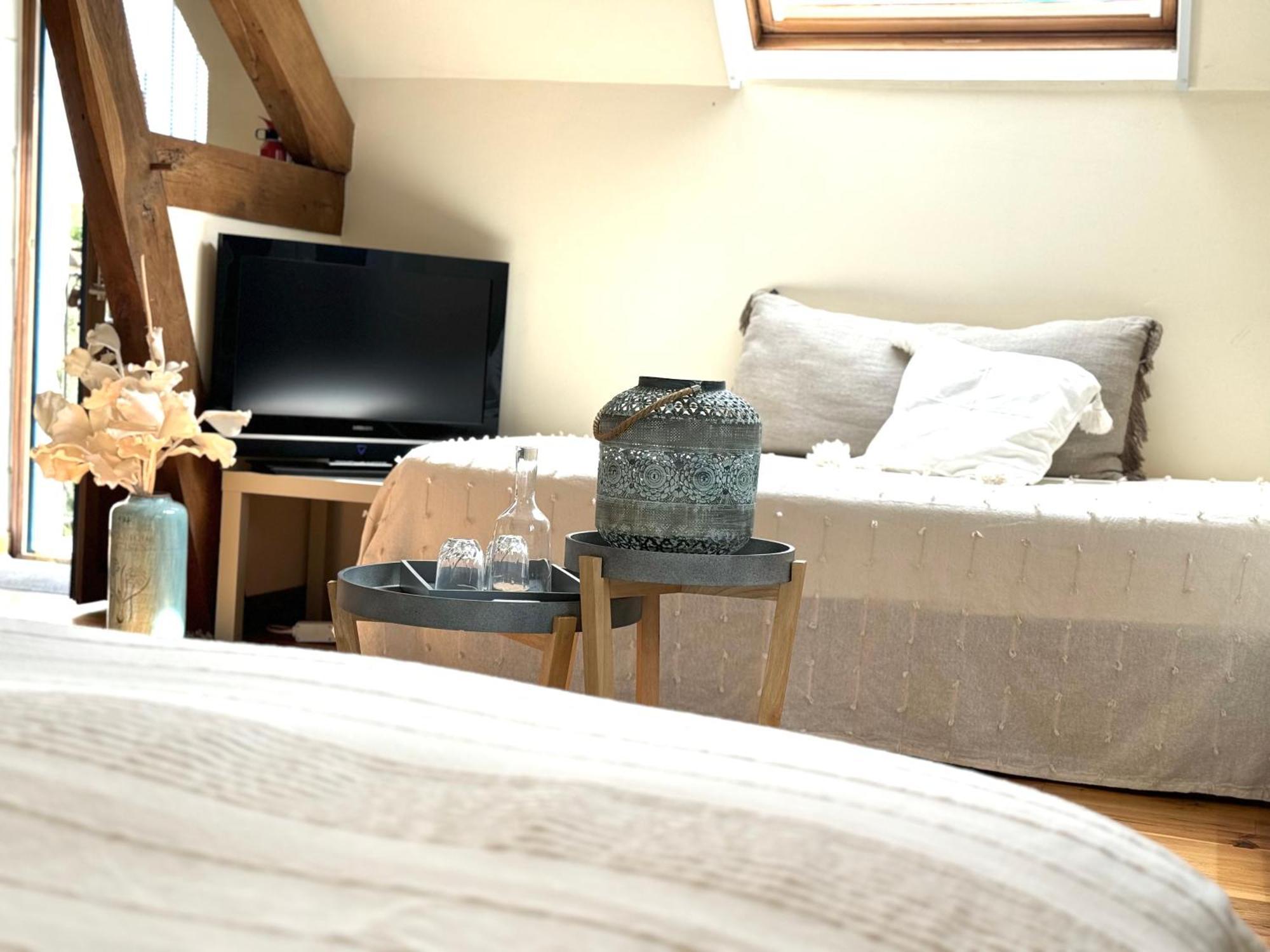 Bed and Breakfast Le Moulin D Olivet Orbigny Exterior foto